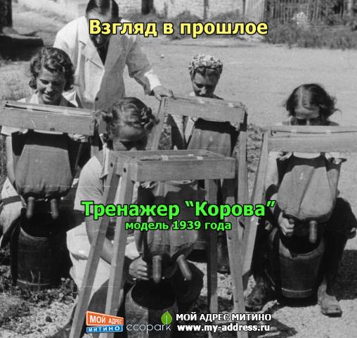 Тренажер “Корова” – модель 1939 года. Взгляд в прошлое.