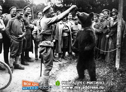 Русский Экспедиционный Корпус во Франции - Мишка