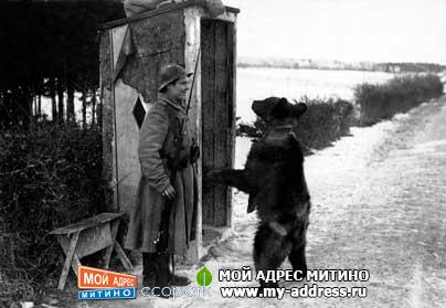 Русский Экспедиционный Корпус во Франции - Мишка