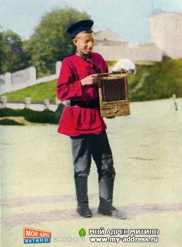 НИЖНИЙ НОВГОРОД. ПРЕДСКАЗАТЕЛЬ СУДЬБЫ CO СВОИМ ПОМОЩНИКОМ 1914 год