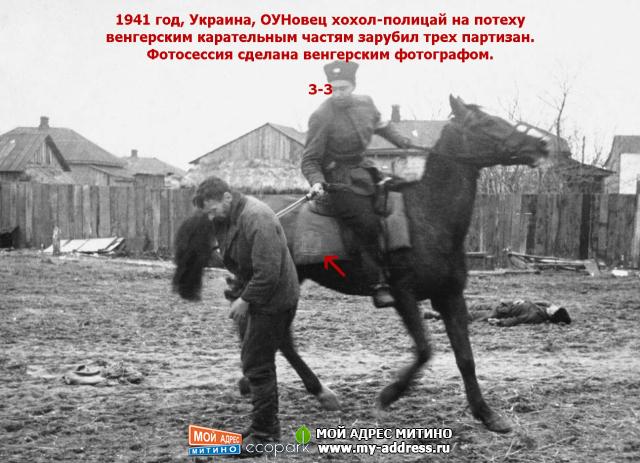 1941 год, Украина, ОУНовец хохол-полицай на потеху венгерским карательным частям зарубил трех партизан.