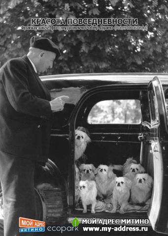 Французский фотохудожник Робер Дуано (Robert Doisneau) - Красота повседневности