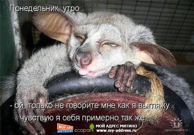 Утро понедельника