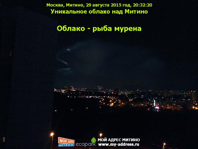 Облако - рыба мурена, Москва, Митино, 29 августа 2015 год, 20:32:20 Уникальное облако над Митино