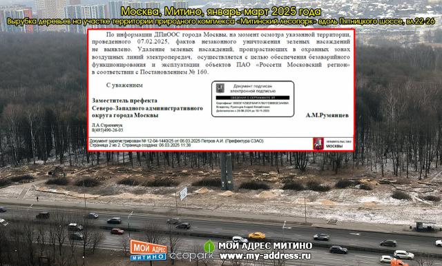 Вырубка деревьев на участке территории природного комплекса «Митинский лесопарк» вдоль Пятницкого шоссе, вл.22-26, Москва, Митин
