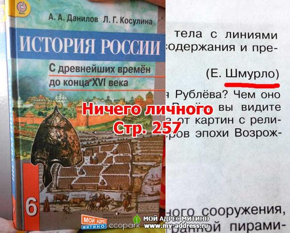 Ничего личного - Е. Шмурло