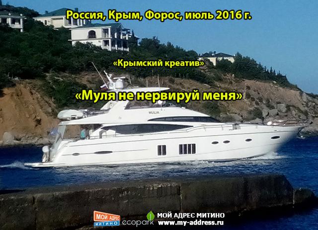 Муля не нервируй меня, «Крымский креатив», Россия, Крым, Форос, июль 2016 г.