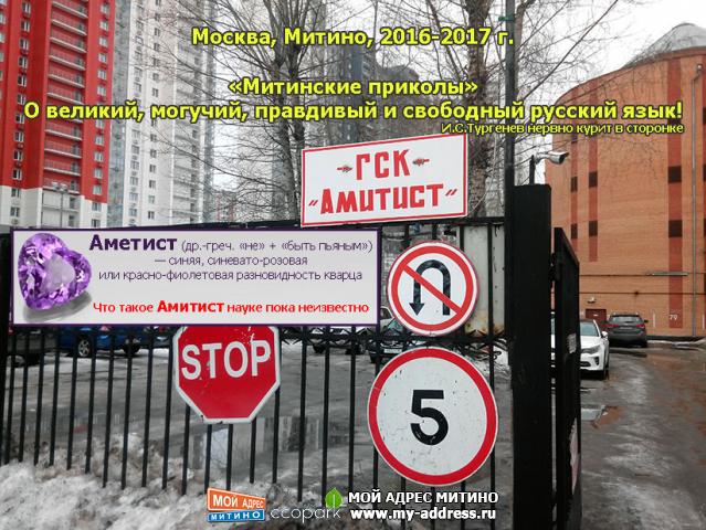 Что такое Амитист науке пока неизвестно - Митинские приколы