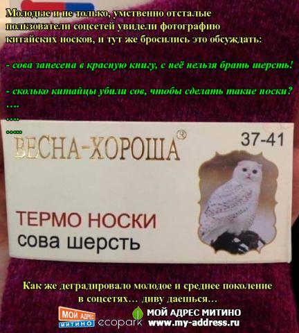 Носки из шерсти совы – прикол от умственно отсталых пользователей соцсетей