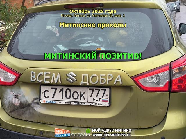 МИТИНСКИЙ ОПТИМИЗМ! Октябрь 2025 года, Москва, Митино, 2-й Митинский пер., д. 5, Митинские приколы