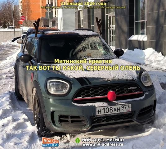 Митинский креатив, ТАК ВОТ ТЫ КАКОЙ, СЕВЕРНЫЙ ОЛЕНЬ, 31 января 2026 года, Москва, Митино, Митинская ул., 20, ЖК LIFE-Митинская E