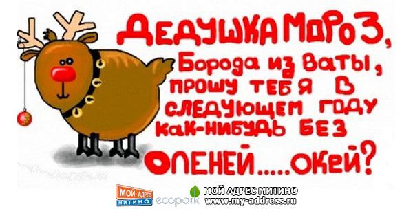 Дедушка Мороз борода из ваты... давай в следующем году как-нибудь без оленей...