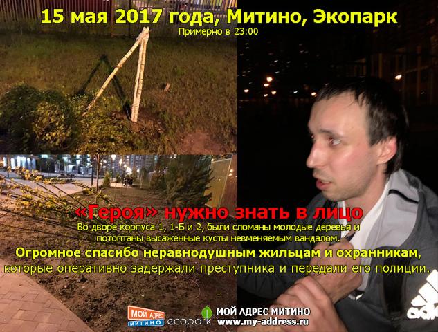 «Героя» нужно знать в лицо Во дворе корпуса 1, 1-Б и 2, были сломаны молодые деревья и потоптаны высаженные кусты невменяемым ва