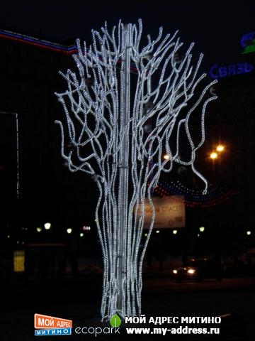 Дерево на Кутузовском проспекте