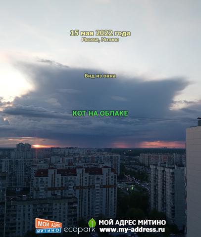 КОТ НА ОБЛАКЕ – Вид из окна, 15 мая 2022 года, Москва, Митино
