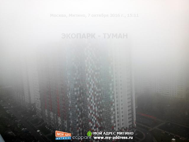 Туман над ЭКОПАРКОМ (лирическая нотка)